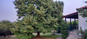 Lidden tree cottage